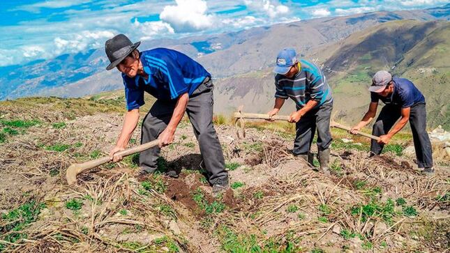 Día del Campesino