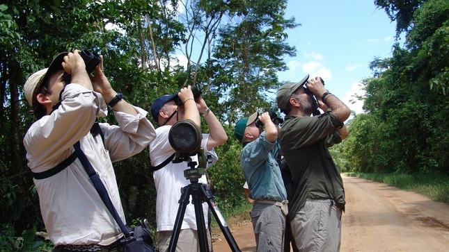 observación de aves