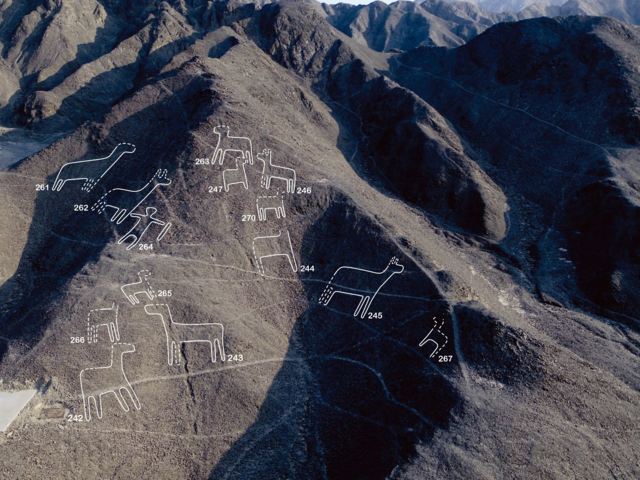 Líneas y Geoglifos de Nasca y Palpa