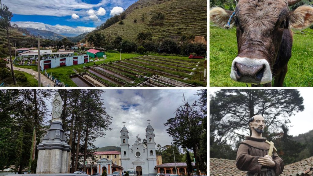 Santa Rosa de Ocopa; Ingenio