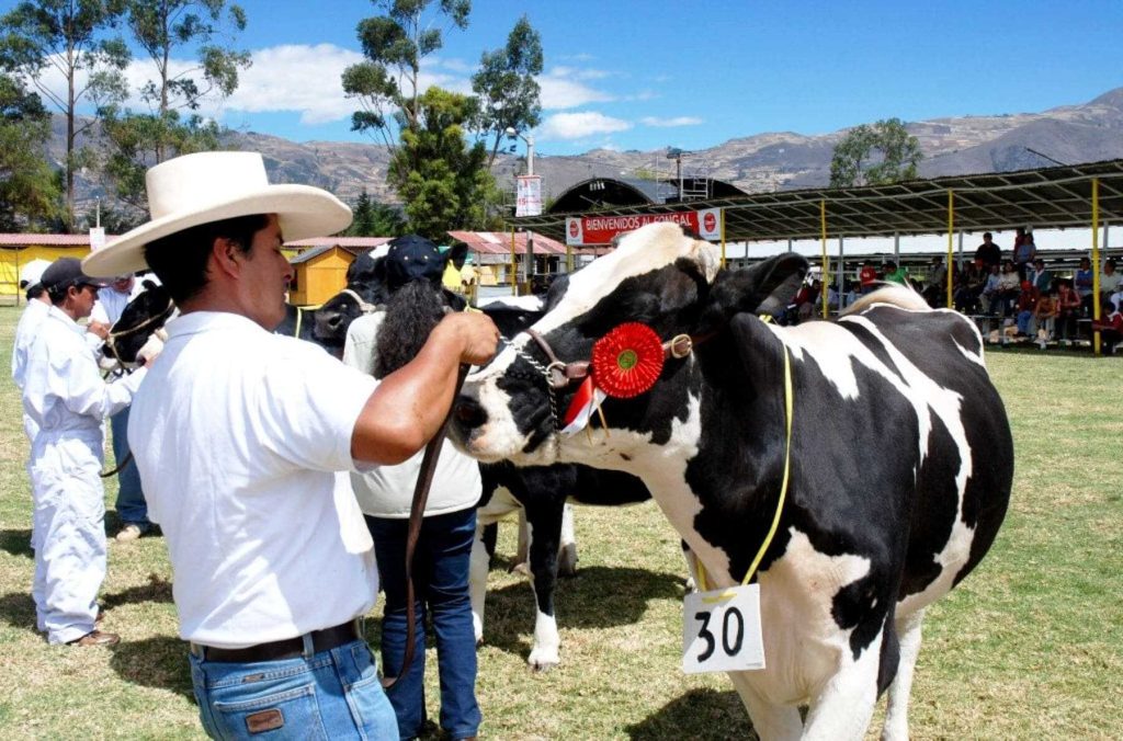 feria ganadera Fongal