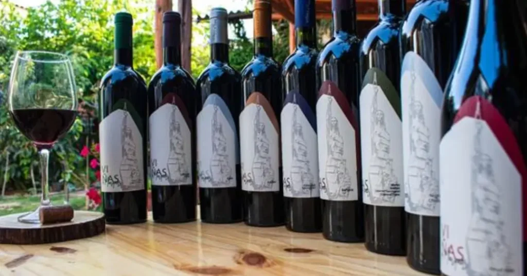 Degustación de Vino