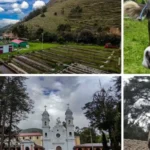 Santa Rosa de Ocopa; Ingenio