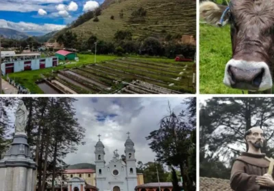 Santa Rosa de Ocopa; Ingenio