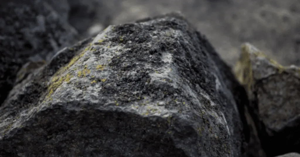 Líquenes y musgos, las biocostras de una piedra