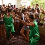 Vendimia de ICA