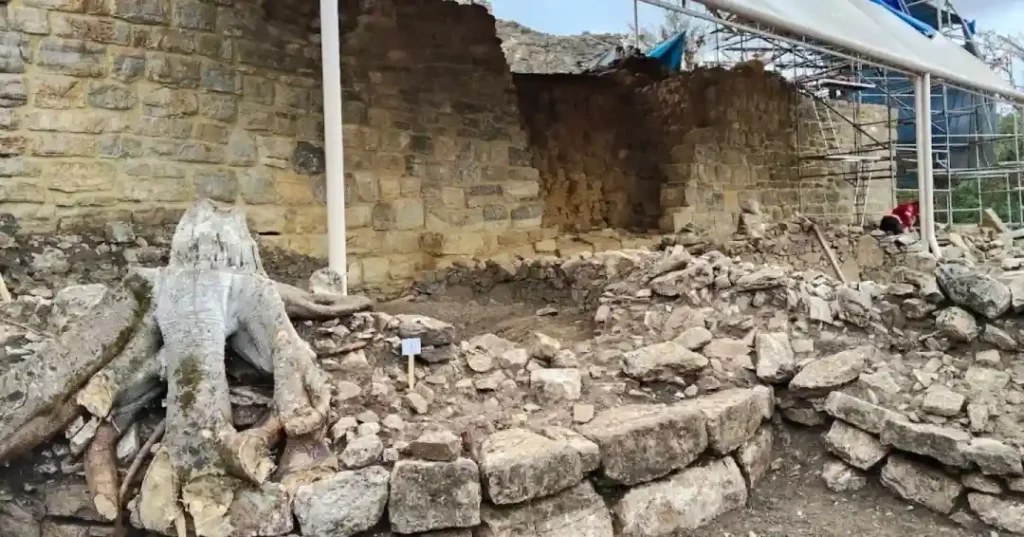 Conservación de Kuélap