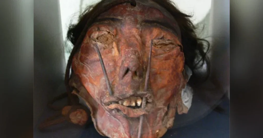 Cabeza de trofeo andina