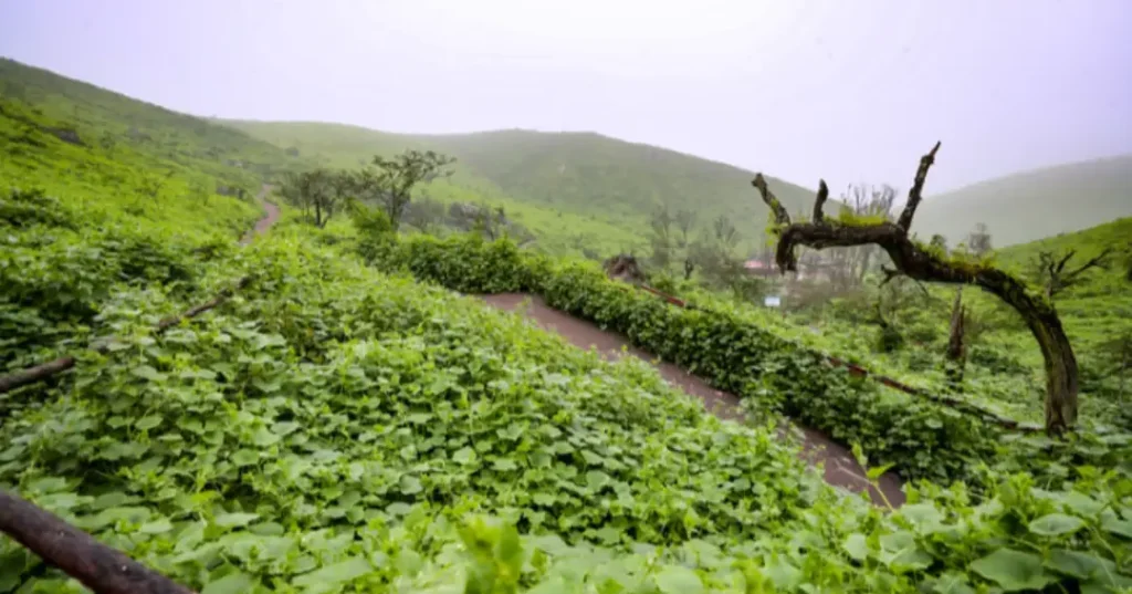 People's choice award 2025