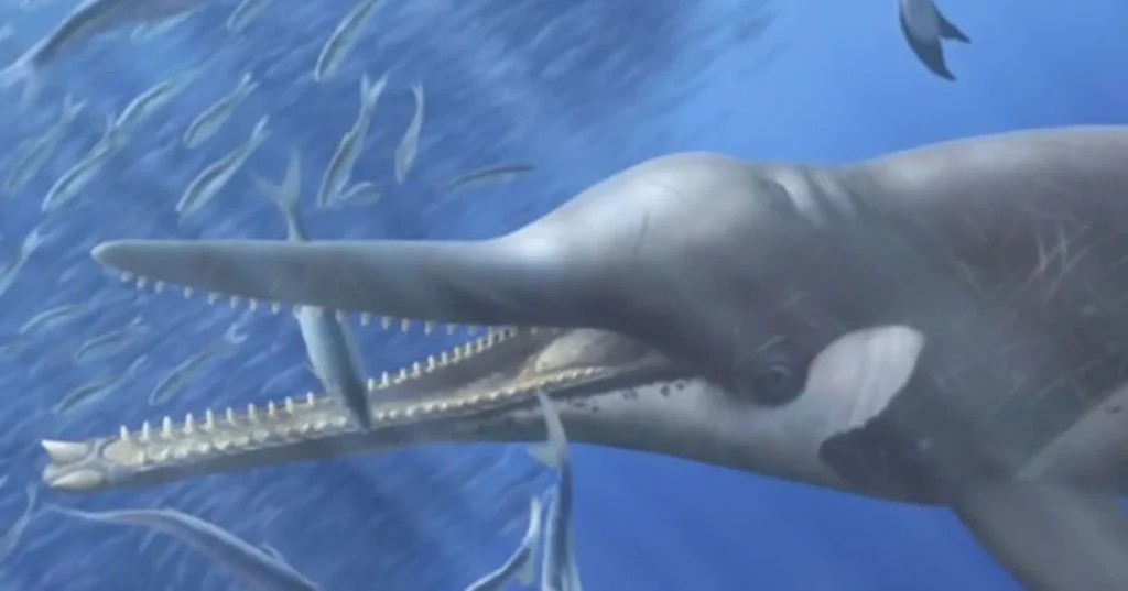 Descubren sardina fósil