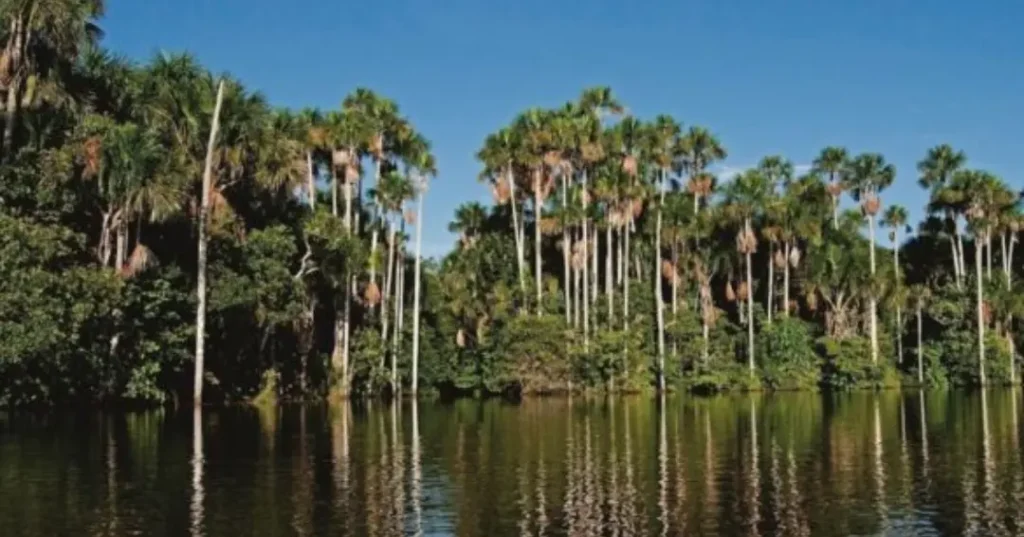 Perú destaca en el Top 100 mundial de destinos sostenibles
