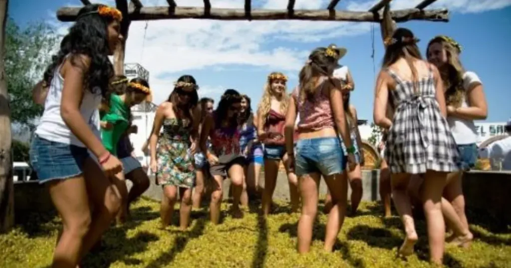 Tradicional pisa de uva