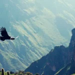 Perú Destino esencial para el 2026