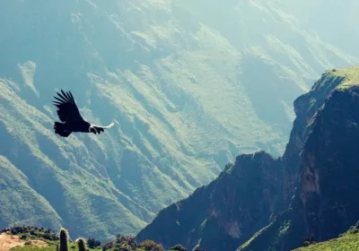 Perú Destino esencial para el 2026