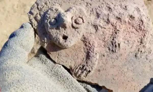 Hallazgo en Cerro de la Horca