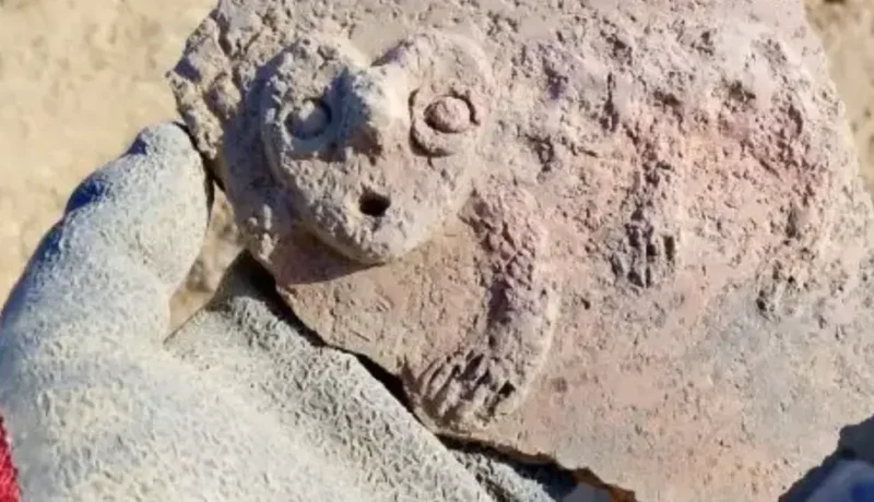 Hallazgo en Cerro de la Horca