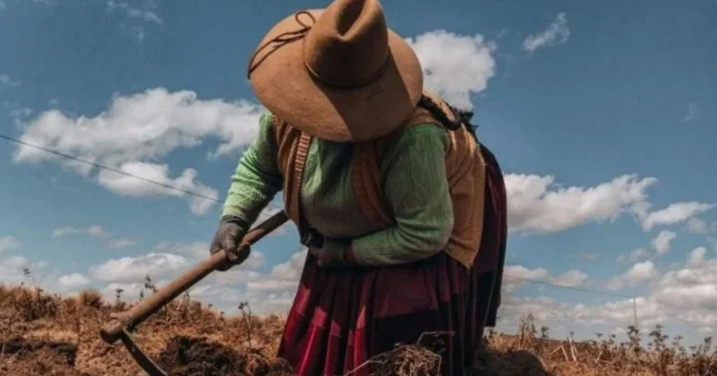 Papas en los indígenas andinos