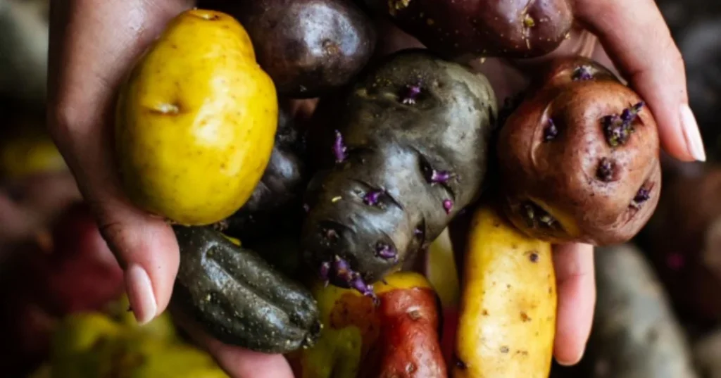 The World's 50 Best Restaurant's 2026 en Lima