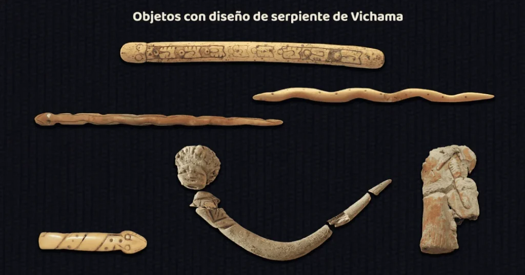 Hallazgos en Vichama