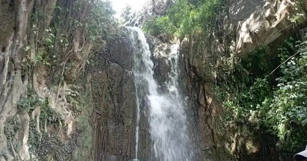 Armanán