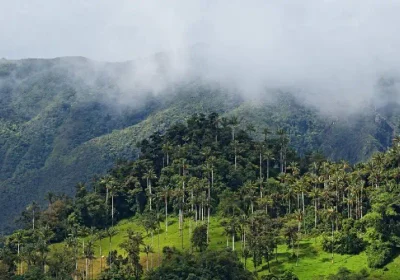 Parque Nacional de Cutervo