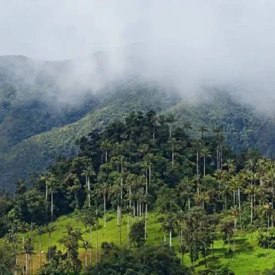 Parque Nacional de Cutervo