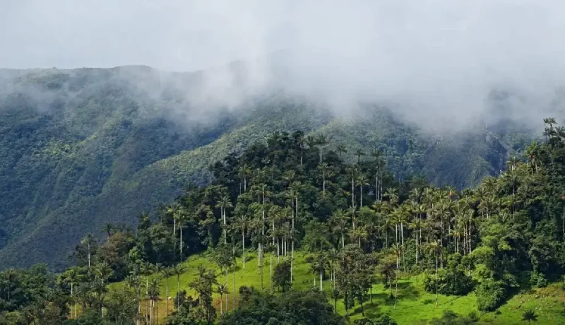 Parque Nacional de Cutervo